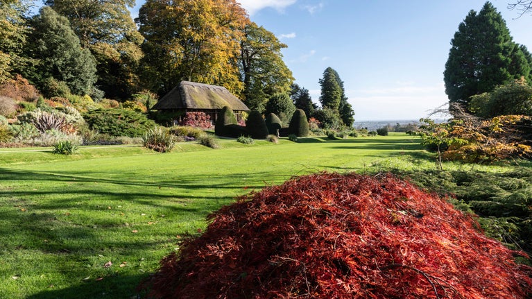 Lliwiau’r hydref yng Nghastell a Gardd y Waun, Wrecsam